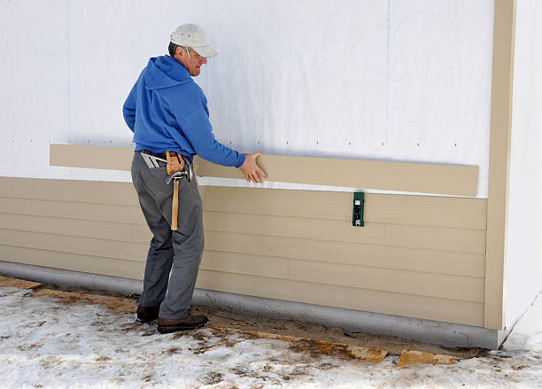 Best Stone Veneer Siding  in Forsyth, MO